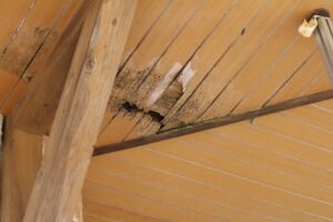 雨漏りの危険性